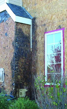 Mold, Mildew & Rot Resistant